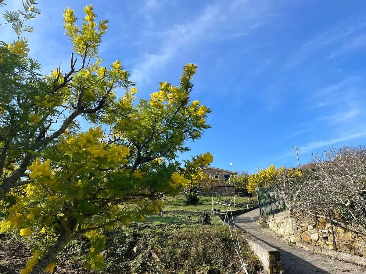Agriturismo Le Mimose Imperia Italien